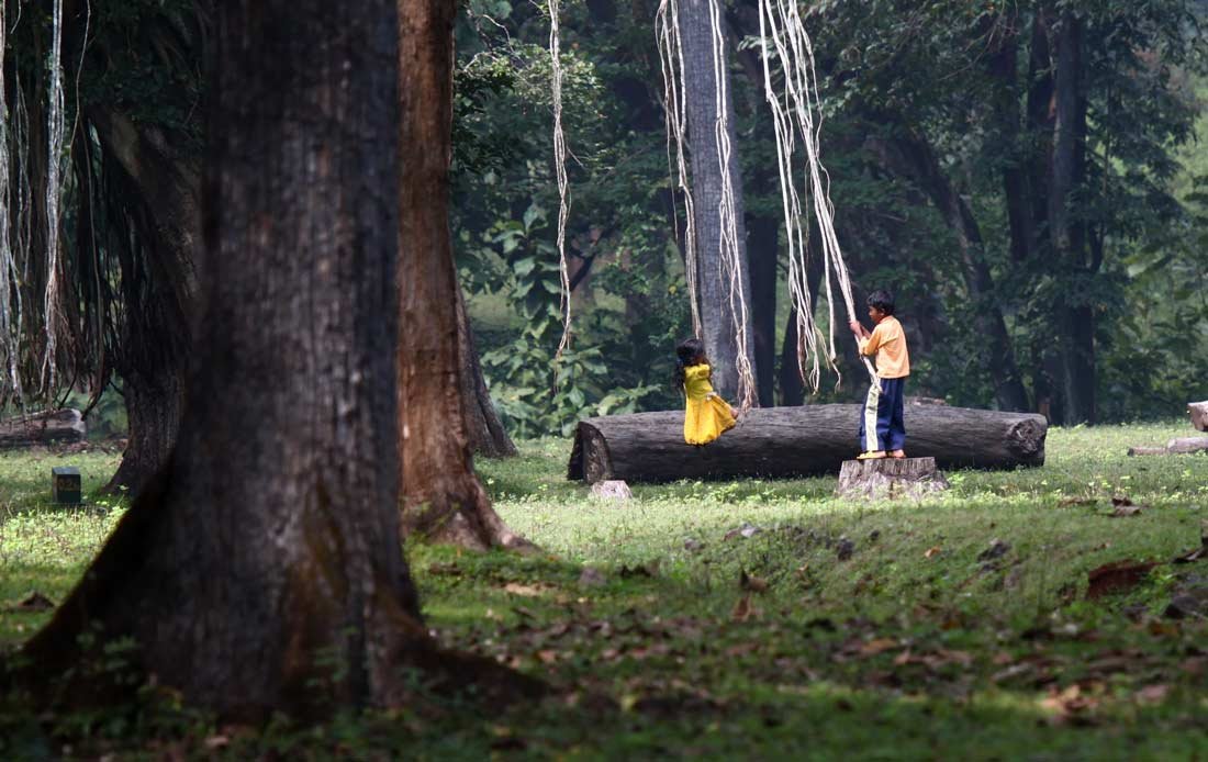 Dandeli Jungle