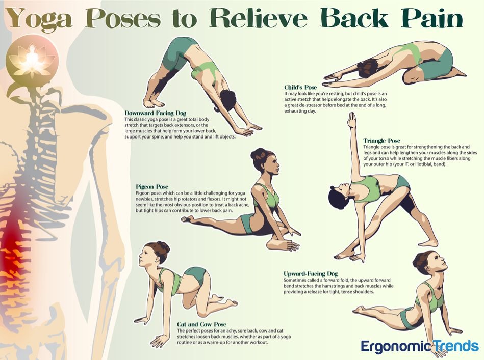 yoga poses for back pain