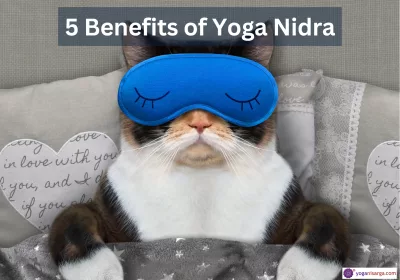 Yog Nidra