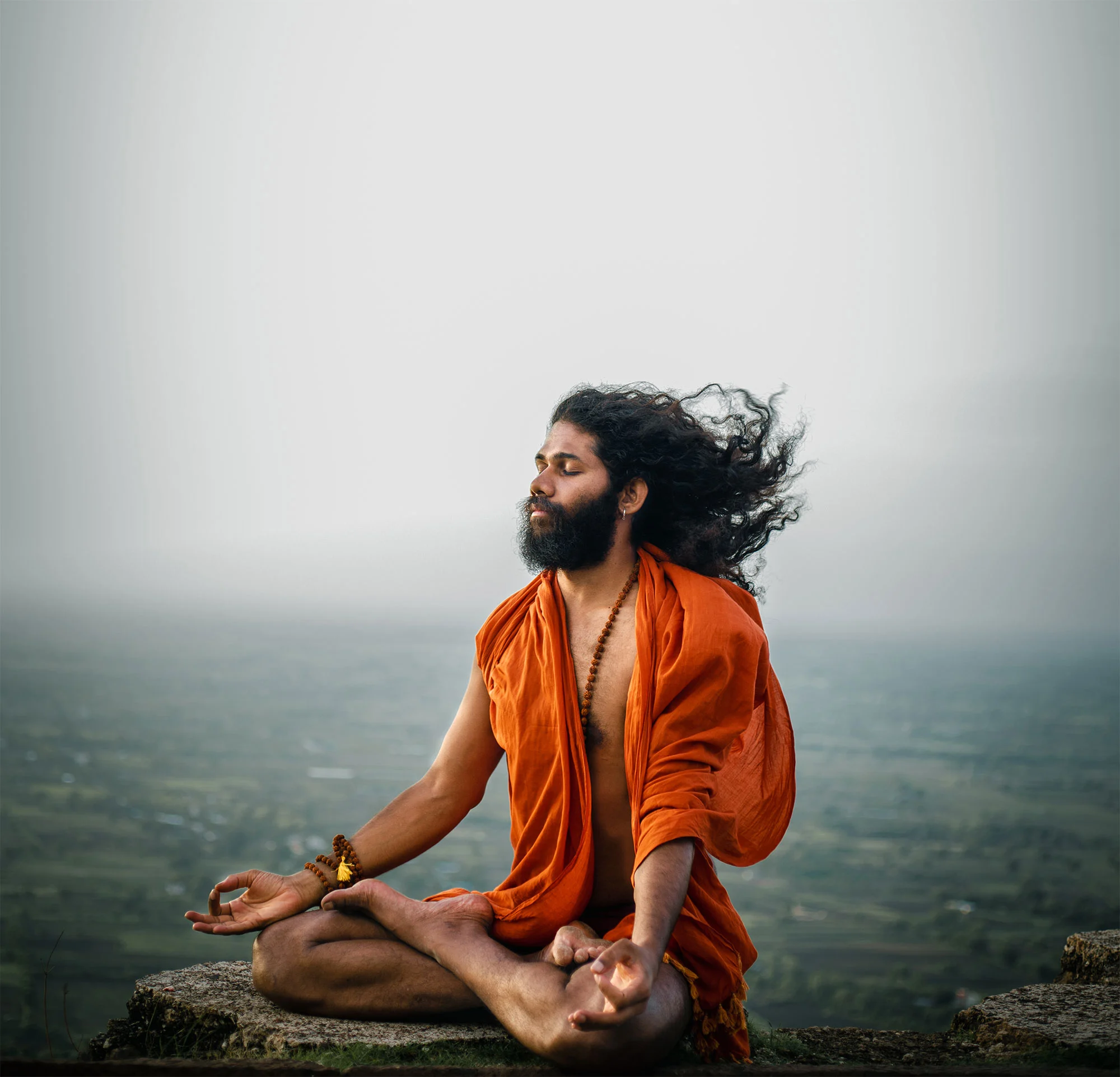 Swami Chaittanya hari