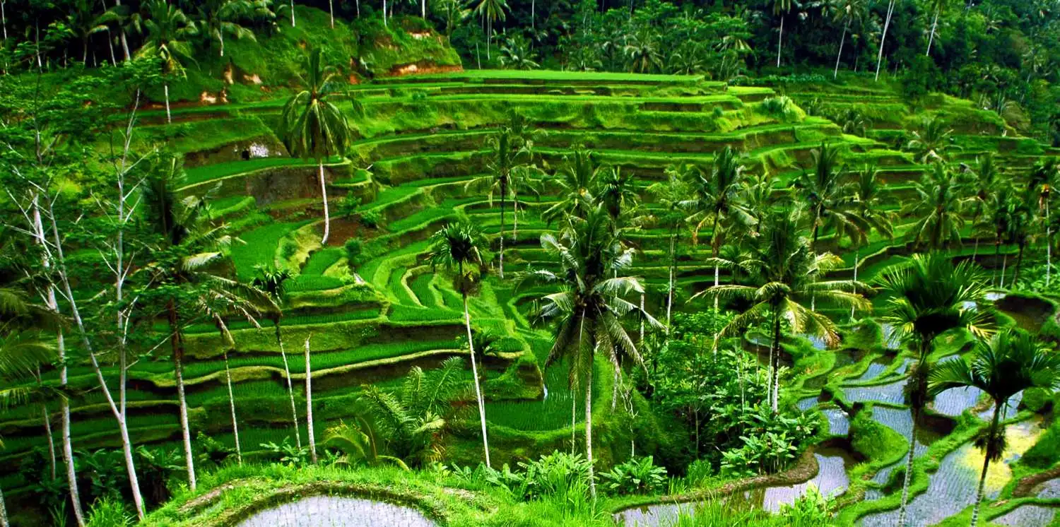 Yoga Retreat Bali