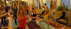 Yoga Mudra